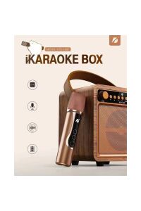 Porfesyonel Karaoke Kablosuz Mikrofon Müzik Seti Usb Giriş Sd Kart Bluetooth Hoparlör