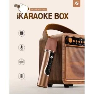 Porfesyonel Karaoke Kablosuz Mikrofon Müzik Seti Usb Giriş Sd Kart Bluetooth Hoparlör